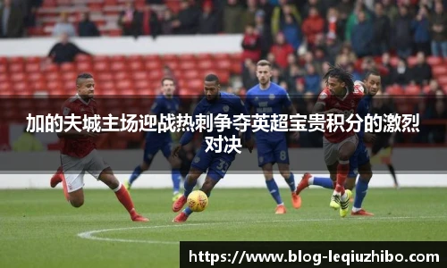 加的夫城主场迎战热刺争夺英超宝贵积分的激烈对决